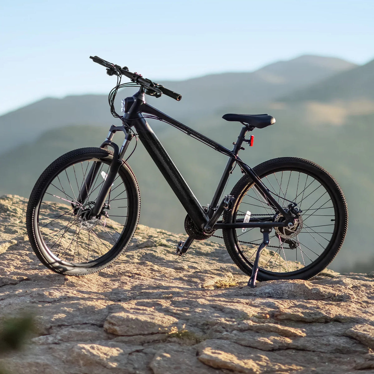 Electric Bikes