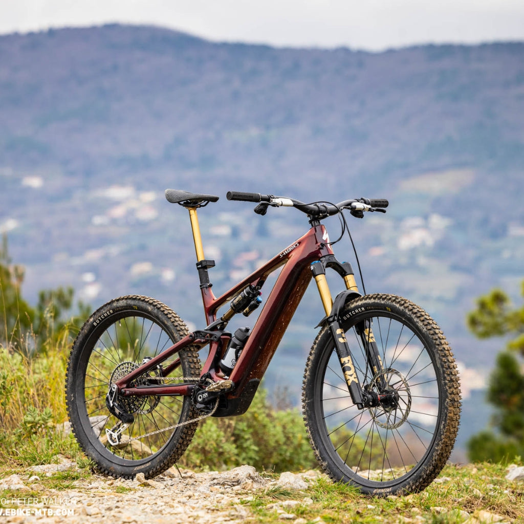 Mountain Bikes