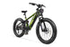Cyrusher Ranger 2.0 Full Suspension Fat Tire electric bike