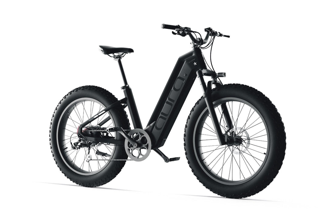 Cyrusher Aura Step-Through Fat Tire electric bike