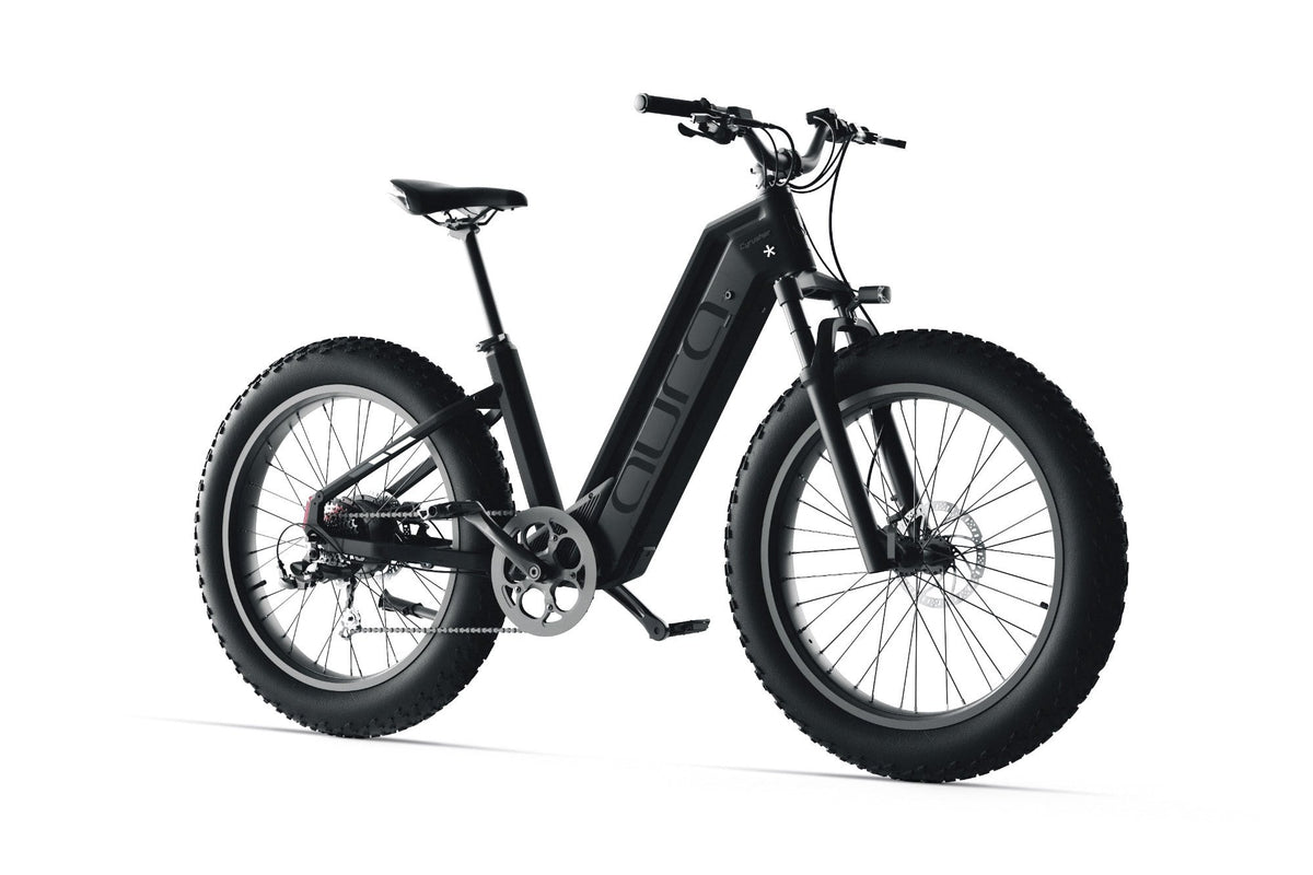 Cyrusher Aura Step-Through Fat Tire electric bike